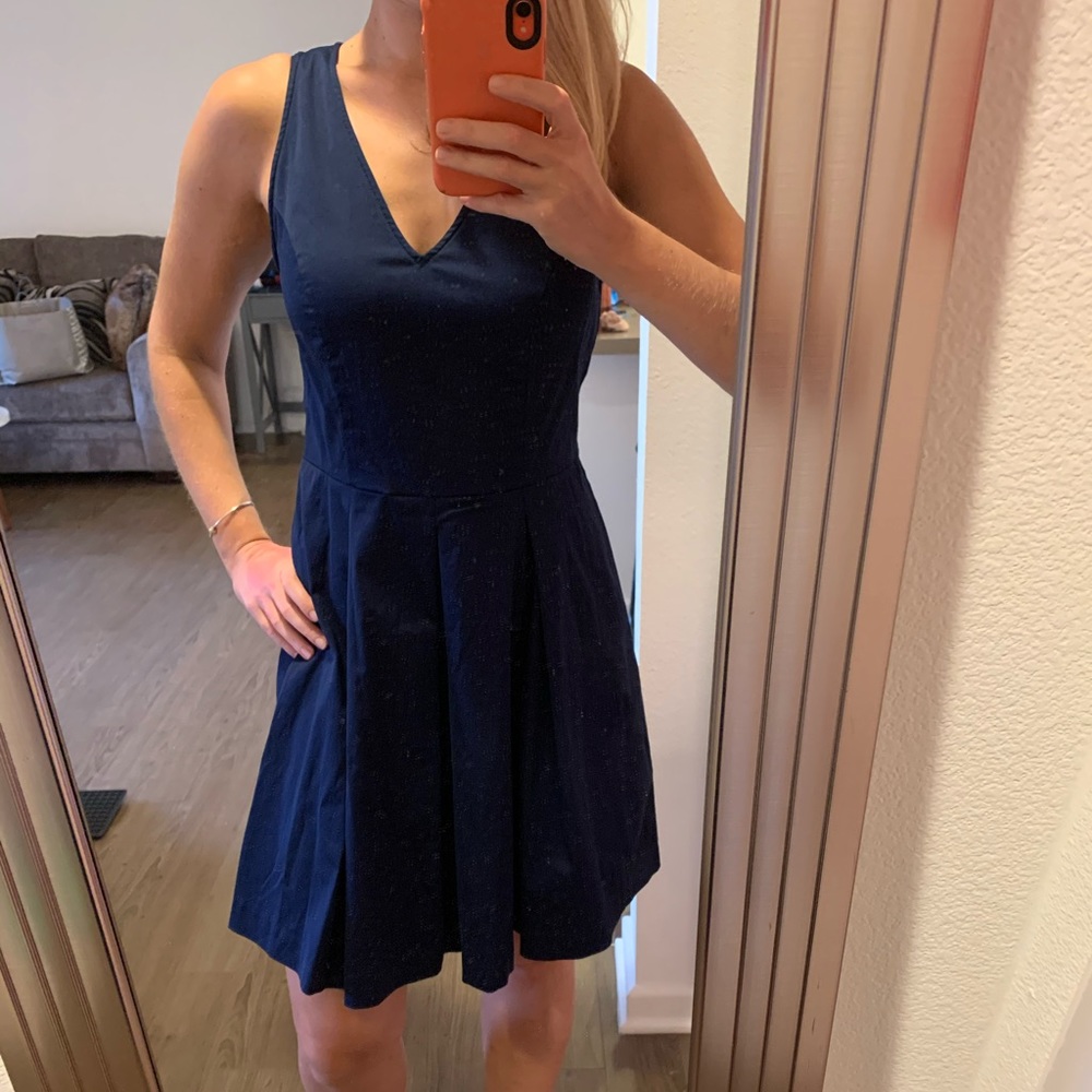 Banana Republic Fit & Flare Navy Pleated Dress
